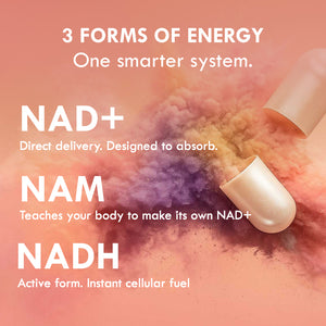 Cell Theory Liposomal NAD+ Formula