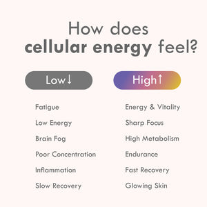 Cell Theory Liposomal NAD+ Formula
