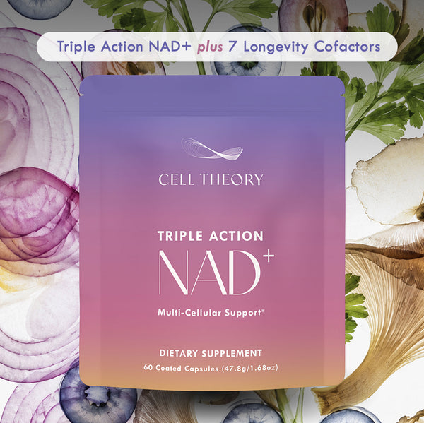 Group of Cell Theory Liposomal NAD+ Formula supplement bottles showing the product packaging and labeling.