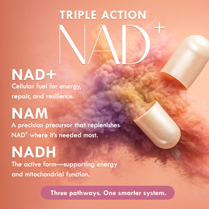 Cell Theory Sample 5-Day | Liposomal NAD+ Supplement
