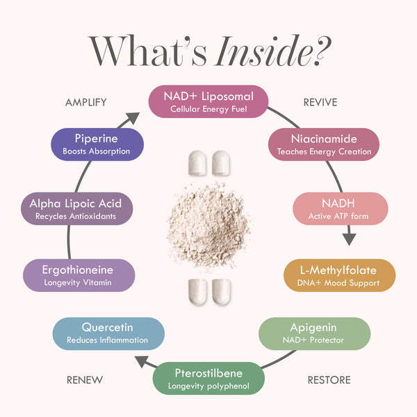 Cell Theory Liposomal NAD+ Formula